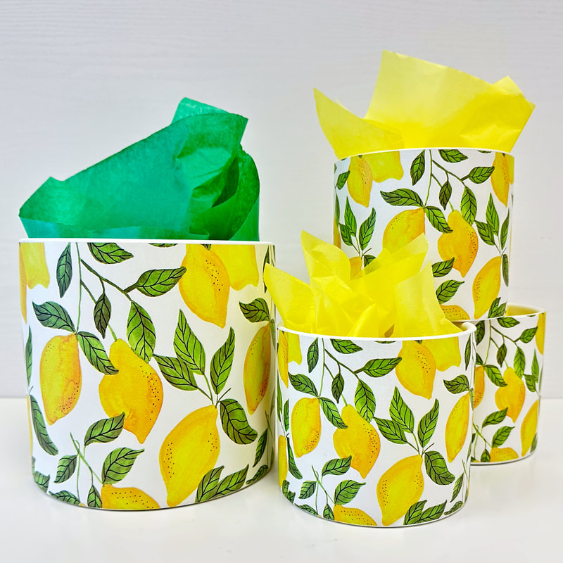 Mother's Day Gift: Lemon Tree planter filled with cookies